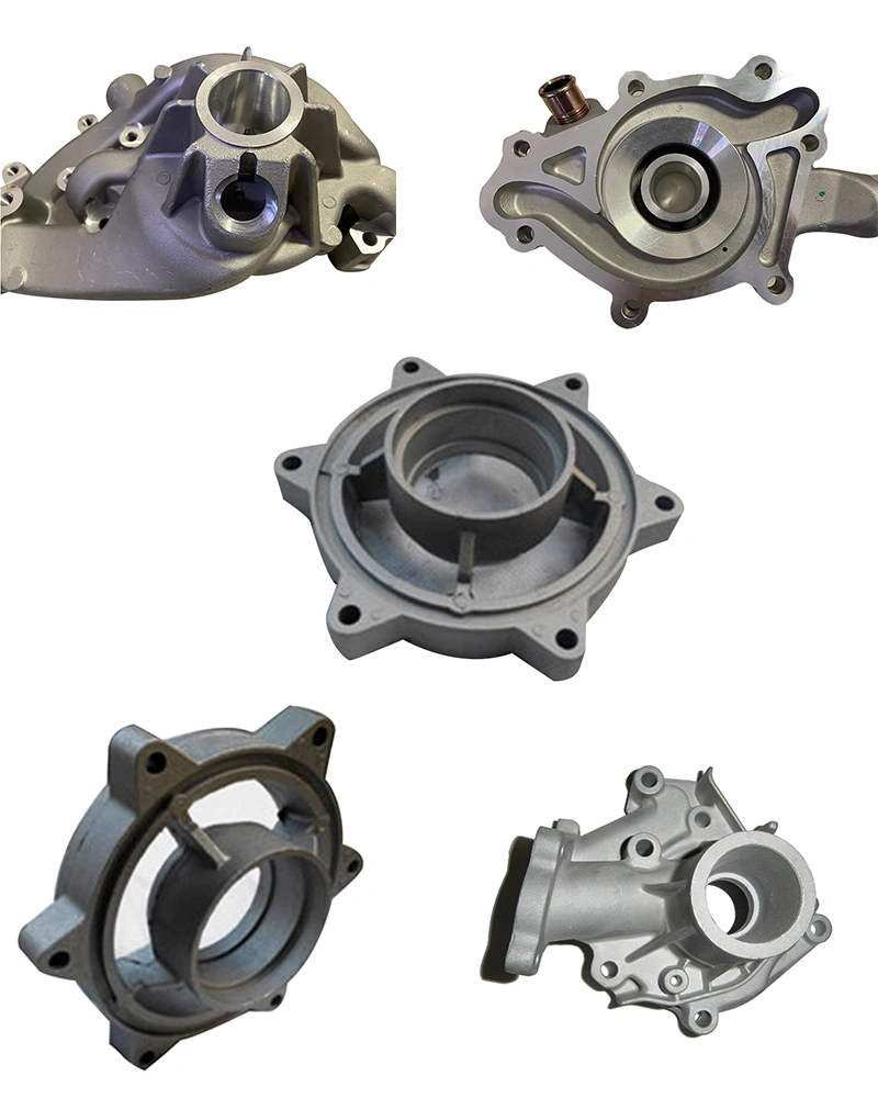 Experienced Aluminum Alloy Die Casting Auto Pump Body Parts